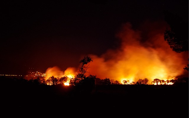 Immagine di copertina per AGGIORNAMENTO DEL CATASTO DEI SOPRASSUOLI PERCORSI DAL FUOCO. LEGGE 21 NOVEMBRE 2000 N. 353 - APPROVAZIONE ELENCO �2012 � 2021�.